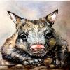<span>[Sold]</span> Baby Wombat